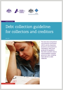 Debt collection guideline reprint 2010
